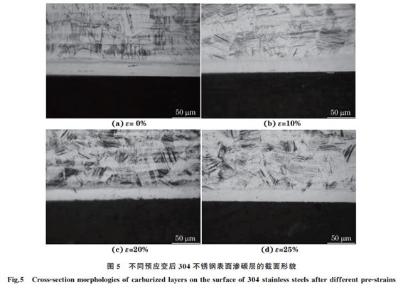 不同預(yù)應(yīng)變后３０４不銹鋼表面滲碳層的截面形貌