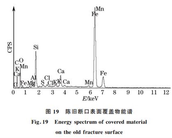 圖１９ 陳舊斷口表面覆蓋物能譜