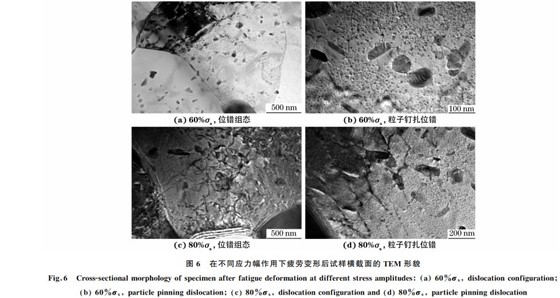 圖６ 在不同應力幅作用下疲勞變形后試樣橫截面的 TEM 形貌