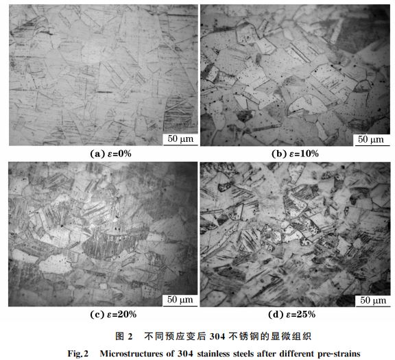 圖2 不同預應變后304不銹鋼的顯微組織 圖2 不同預應變后304不銹鋼的顯微組織